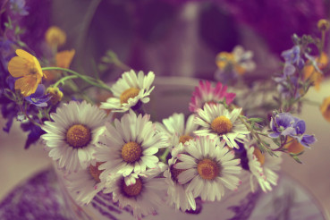 spring flowers
