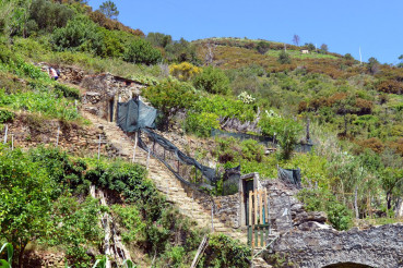 Cinque Terre Trail